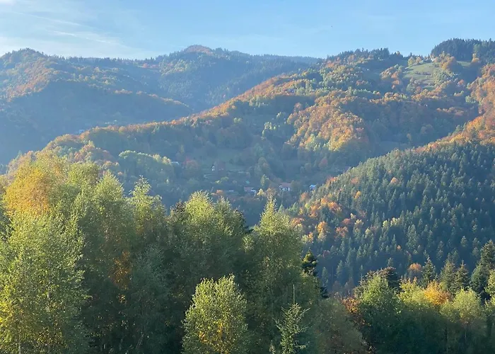 Apartament Na łazach